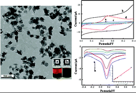 Graphical abstract: Novel l-lactic acid biosensors based on conducting polypyrrole-block copolymer nanoparticles