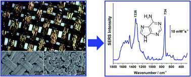 Graphical abstract: The development of “fab-chips” as low-cost, sensitive surface-enhanced Raman spectroscopy (SERS) substrates for analytical applications
