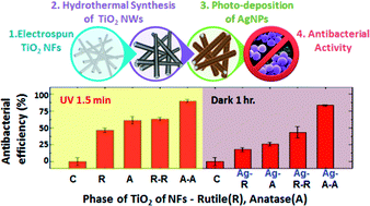 Graphical abstract: Significantly enhanced antibacterial activity of TiO2 nanofibers with hierarchical nanostructures and controlled crystallinity