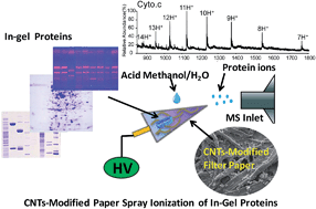 Graphical abstract: Direct analysis of in-gel proteins by carbon nanotubes-modified paper spray ambient mass spectrometry