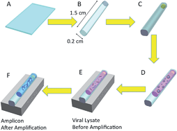 Graphical abstract: A flexible and low-cost polypropylene pouch for naked-eye detection of herpes simplex viruses