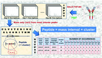 Graphical abstract: Cluster-based comparison of the peptide mass fingerprint obtained by MALDI-TOF mass spectrometry. A case study: long-term stability of rituximab