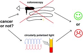 Graphical abstract: The potential of chiroptical and vibrational spectroscopy of blood plasma for the discrimination between colon cancer patients and the control group