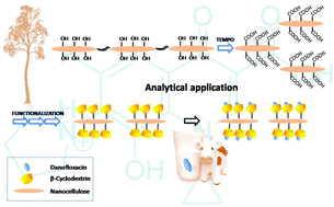Graphical abstract: β-Cyclodextrin decorated nanocellulose: a smart approach towards the selective fluorimetric determination of danofloxacin in milk samples