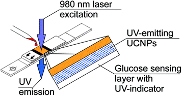 Graphical abstract: Near-infrared excited ultraviolet emitting upconverting phosphors as an internal light source in dry chemistry test strips for glucose sensing
