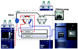 Graphical abstract: A method for the direct injection and analysis of small volume human blood spots and plasma extracts containing high concentrations of organic solvents using revered-phase 2D UPLC/MS