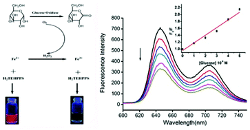 Graphical abstract: A novel water-soluble sulfonated porphyrin fluorescence sensor for sensitive assays of H2O2 and glucose