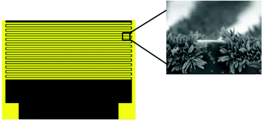 Graphical abstract: Rapidly prototyped multi-scale electrodes to minimize the voltage requirements for bacterial cell lysis