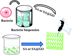 Graphical abstract: Synthesis of a highly dispersive sinapinic acid@graphene oxide (SA@GO) and its applications as a novel surface assisted laser desorption/ionization mass spectrometry for proteomics and pathogenic bacteria biosensing