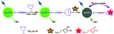 Graphical abstract: β-Cyclodextrin functionalised gold nanoclusters as luminescence probes for the ultrasensitive detection of dopamine