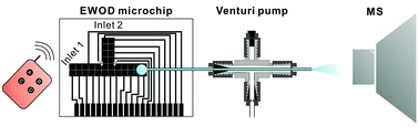 Graphical abstract: A compact 3D-printed interface for coupling open digital microchips with Venturi easy ambient sonic-spray ionization mass spectrometry