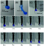Graphical abstract: A highly efficient three-phase single drop microextraction technique for sample preconcentration