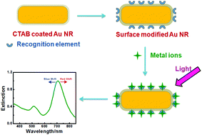 Graphical abstract: A gold nanorod-based localized surface plasmon resonance platform for the detection of environmentally toxic metal ions