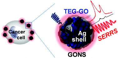 Graphical abstract: Graphene oxide-encoded Ag nanoshells with single-particle detection sensitivity towards cancer cell imaging based on SERRS