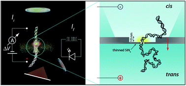 Graphical abstract: Optical sensing and analyte manipulation in solid-state nanopores