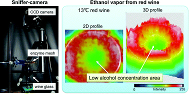 Graphical abstract: A sniffer-camera for imaging of ethanol vaporization from wine: the effect of wine glass shape