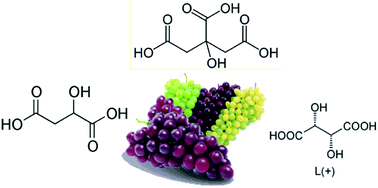 Graphical abstract: Quantitation of organic acids in wine and grapes by direct infusion electrospray ionization mass spectrometry