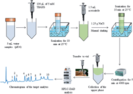 Graphical abstract: Ion-pair assisted liquid–liquid extraction for selective separation and analysis of multiclass pesticide residues in environmental waters