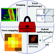 Graphical abstract: Atomic force microscopy-based bioanalysis for the study of disease