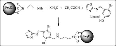 Graphical abstract: Utilization of facile synthesized Fe3O4 nanoparticles as a selective support for preconcentration of lead ions from food and environmental samples