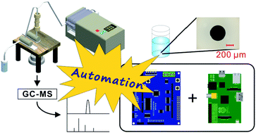 Graphical abstract: A pinch-valve interface for automated sampling and monitoring of dynamic processes by gas chromatography-mass spectrometry