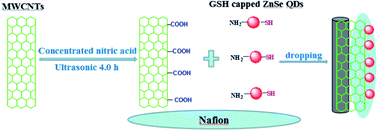 Graphical abstract: Assembly of multi-walled carbon nanotubes–ZnSe quantum dot hybrids for a paeonol electrochemical sensor