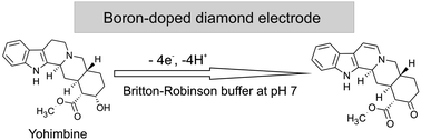 Graphical abstract: Sensitive electrochemical determination of yohimbine in primary bark of natural aphrodisiacs using boron-doped diamond electrode