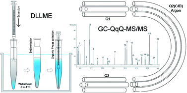 Graphical abstract: Determination of pesticides and related compounds in water by dispersive liquid–liquid microextraction and gas chromatography-triple quadrupole mass spectrometry