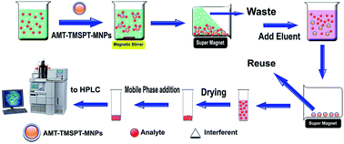 Graphical abstract: Separation and determination of aflatoxins B1, B2, G1 and G2 in pistachio samples based on magnetic solid phase extraction followed by high performance liquid chromatography with fluorescence detection