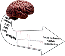 Graphical abstract: A review of sample preparation methods for quantitation of small-molecule analytes in brain tissue by liquid chromatography tandem mass spectrometry (LC-MS/MS)