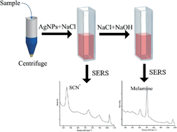 Graphical abstract: Simultaneous determination of thiocyanate ion and melamine in milk and milk powder using surface-enhanced Raman spectroscopy