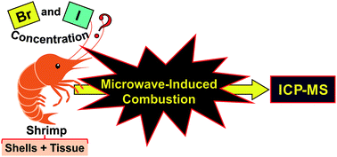 Graphical abstract: Determination of bromine and iodine in shrimp and its parts by ICP-MS after decomposition using microwave-induced combustion