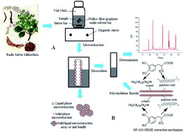 Graphical abstract: A novel hollow fiber/graphene oxide/solvent bar microextraction coupled with high performance liquid chromatography for preconcentration and determination of tanshinones and salvianolic acids in Radix Salvia miltiorrhiza