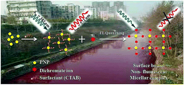Graphical abstract: Fluorescence quenching studies of CTAB stabilized perylene nanoparticles for the determination of Cr(vi) from environmental samples: spectroscopic approach