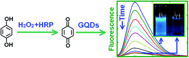 Graphical abstract: A novel fluorescent probe involving a graphene quantum dot–enzyme hybrid system for the analysis of hydroquinone in the presence of toxic resorcinol and catechol