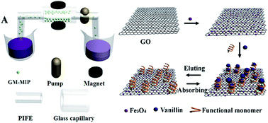 Graphical abstract: A novel chemiluminescence sensor for determination of vanillin with magnetite–graphene oxide molecularly imprinted polymers
