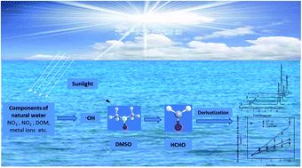 Graphical abstract: Determination of hydroxyl radicals photochemically generated in surface waters under sunlight by high performance liquid chromatography with fluorescence detection