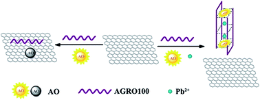 Graphical abstract: A label-free fluorescent sensor for Pb2+ based on G-quadruplex and graphene oxide