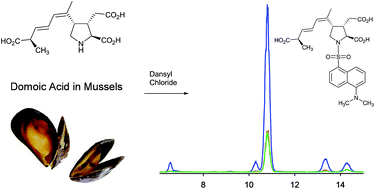 Graphical abstract: Sensitive determination of domoic acid in mussel tissue using dansyl chloride derivatization and liquid chromatography-mass spectrometry