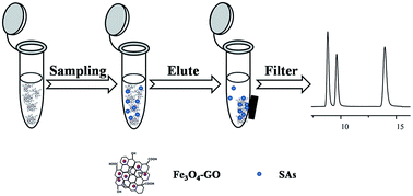 Graphical abstract: Magnetite–graphene oxide composites as a magnetic solid-phase extraction adsorbent for the determination of trace sulfonamides in water samples