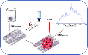 Graphical abstract: Single wall carbon nanotubes-oxide test strip for one-step solid phase extraction of simetryn and fast detection using surface enhanced Raman spectroscopy