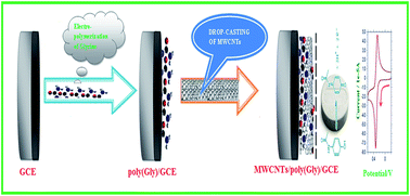 Graphical abstract: Electrochemical sensing of paracetamol and its simultaneous resolution in the presence of dopamine and folic acid at a multi-walled carbon nanotubes/poly(glycine) composite modified electrode