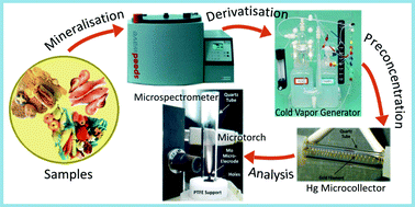 Graphical abstract: Analytical characterization of a method for mercury determination in food using cold vapour capacitively coupled plasma microtorch optical emission spectrometry – compliance with European legislation requirements