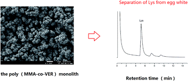 Graphical abstract: Ionic liquid as porogen in the preparation of a polymer-based monolith for the separation of protein by high performance liquid chromatography