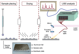 Graphical abstract: Hyphenation of single-drop microextraction with laser-induced breakdown spectrometry for trace analysis in liquid samples: a viability study