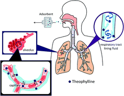 Graphical abstract: Design and development of a suitable adsorbent to capture theophylline for non-invasive therapeutic drug monitoring with exhaled breath