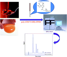 Graphical abstract: Preparation of monolithic fibers based on dual functional monomers for solid-phase microextraction of sudan dyes in tomato sauce and egg yolk samples