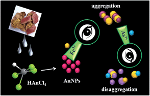Graphical abstract: Sequential detection of Fe3+ and As3+ ions by naked eye through aggregation and disaggregation of biogenic gold nanoparticles