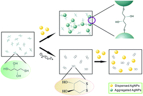 Graphical abstract: Colorimetric sensing of copper ions based on the anti-aggregation of unmodified silver nanoparticles in the presence of 1,4-dithiothreitol