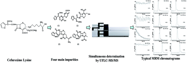 Graphical abstract: Simultaneous determination of four main impurities in cefuroxime lysine by ultra fast liquid chromatography-tandem mass spectrometry: application to the analysis of products in stability testing